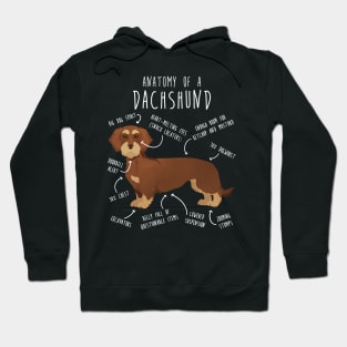 Red Wirehaired Dachshund Dog Anatomy Hoodie